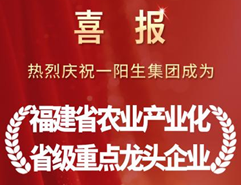 喜报|一阳生集团获评“福建省农业产业化省级重点龙头企业”,以硬核科技驱动农业现代化